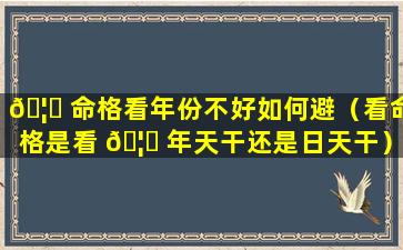 🦆 命格看年份不好如何避（看命格是看 🦅 年天干还是日天干）